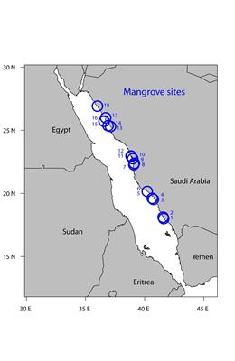 Stunted Mangrove Trees in the Oligotrophic Central Red Sea Relate to Nitrogen Limitation